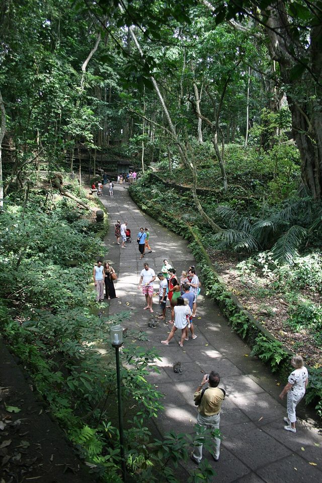 Floresta dos Macacos Sagrada, Ubud
