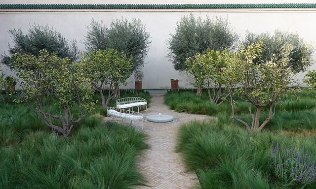 Le Jardin