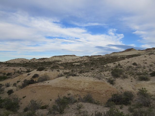 Estepa Patagónica